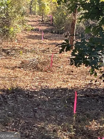 $308,900 | 0 East Highway 36, Jackson, GA 30233