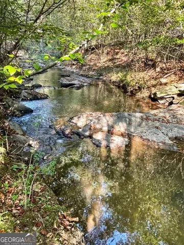 a view of a yard with trees