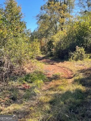 a view of a lake with a garden