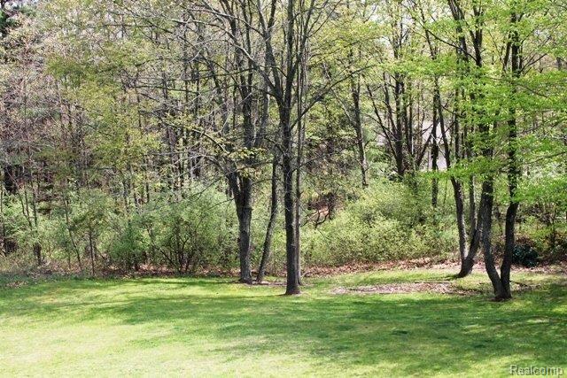 Back Yard.JPG