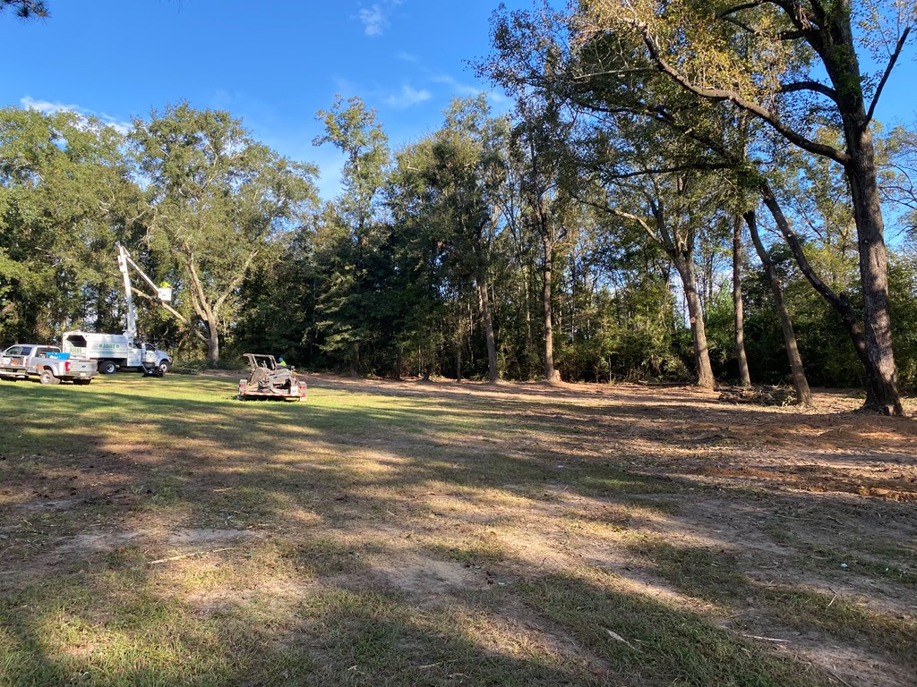 1001 Crawford Creek Road Cowarts, AL 36321 - Photo 2 of 17