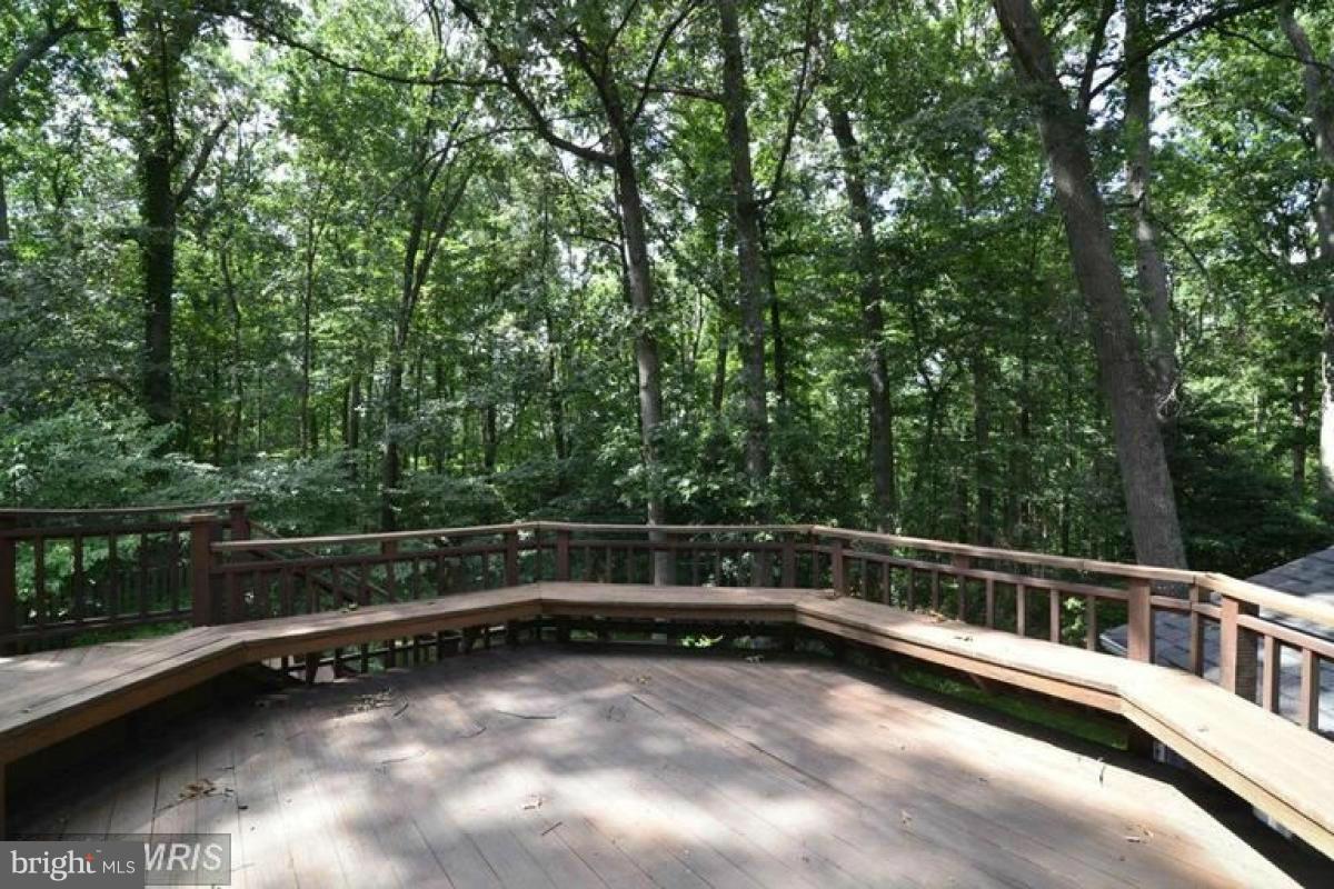 11632 Deer Forest Road Reston, VA 20194 - Photo 15 of 29 Exterior (Rear)