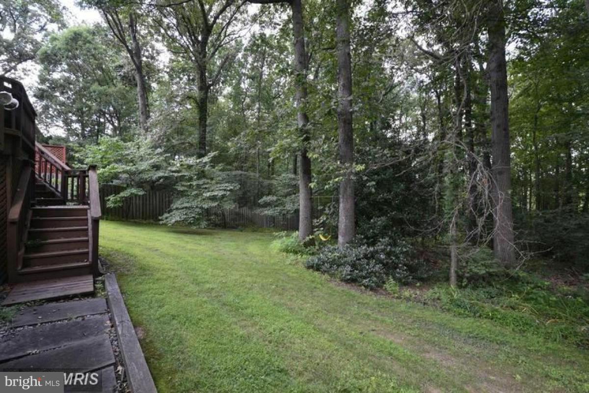11632 Deer Forest Road Reston, VA 20194 - Photo 16 of 29 Exterior (Rear)