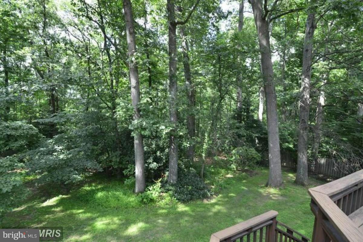 11632 Deer Forest Road Reston, VA 20194 - Photo 3 of 29 View