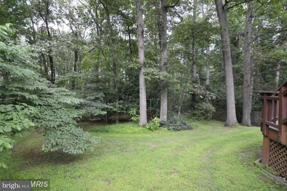 11632 Deer Forest Road Reston, VA 20194 - Photo 26 of 29 View