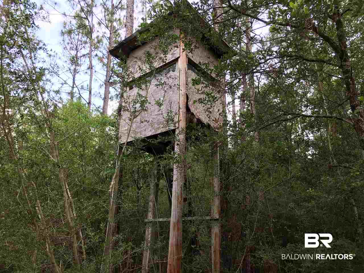 0 New Hope Church Road Robertsdale, AL 36567 - Photo 4 of 17