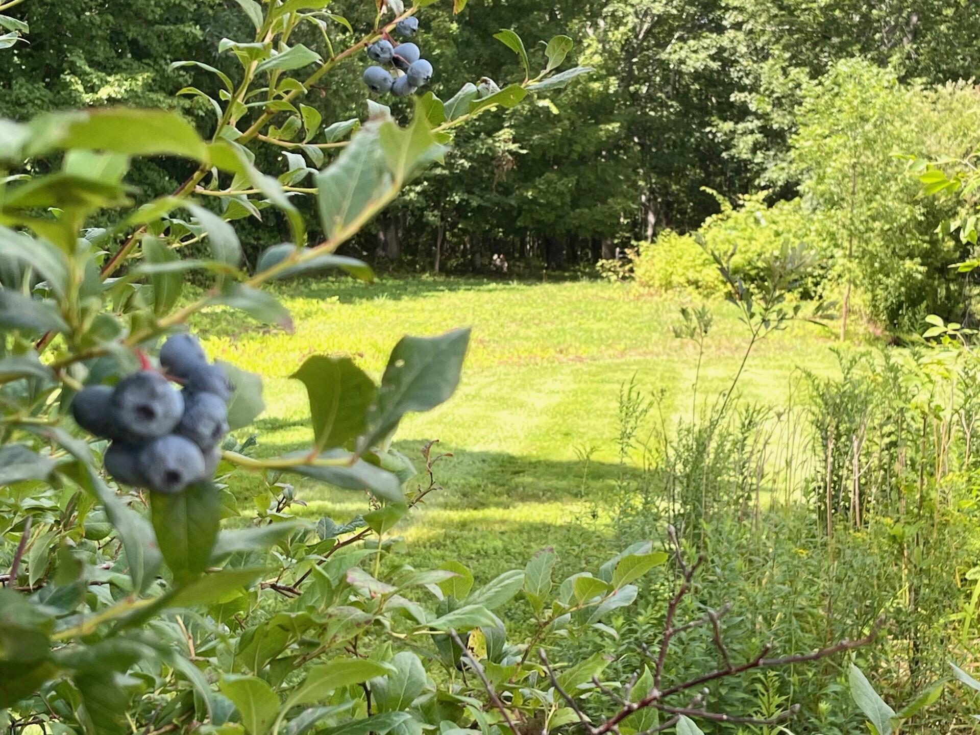 766 Brunswick Road Richmond, ME 04357 - Photo 25 of 53 thumbnail_IMG_0230