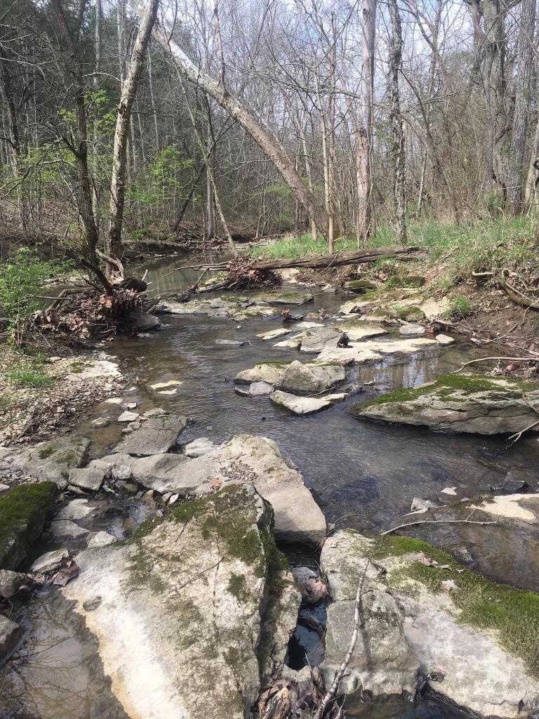 0 Perkins Ridge Road Brooksville, KY 41004 - Photo 16 of 31 Gallery Image 16