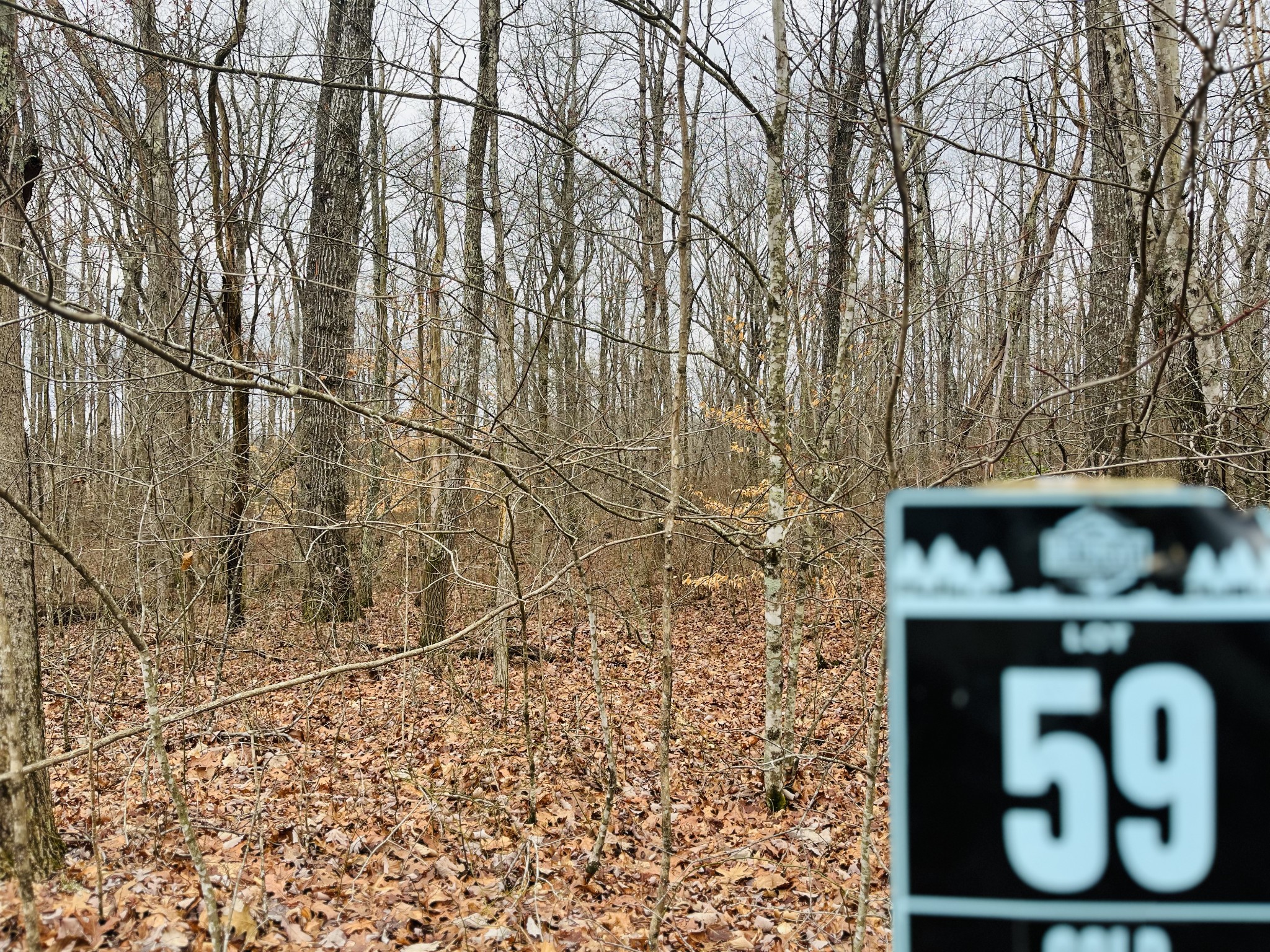 147 Sunset Bluff Monteagle, TN 37356 - Photo 11 of 11 a view of wooden door