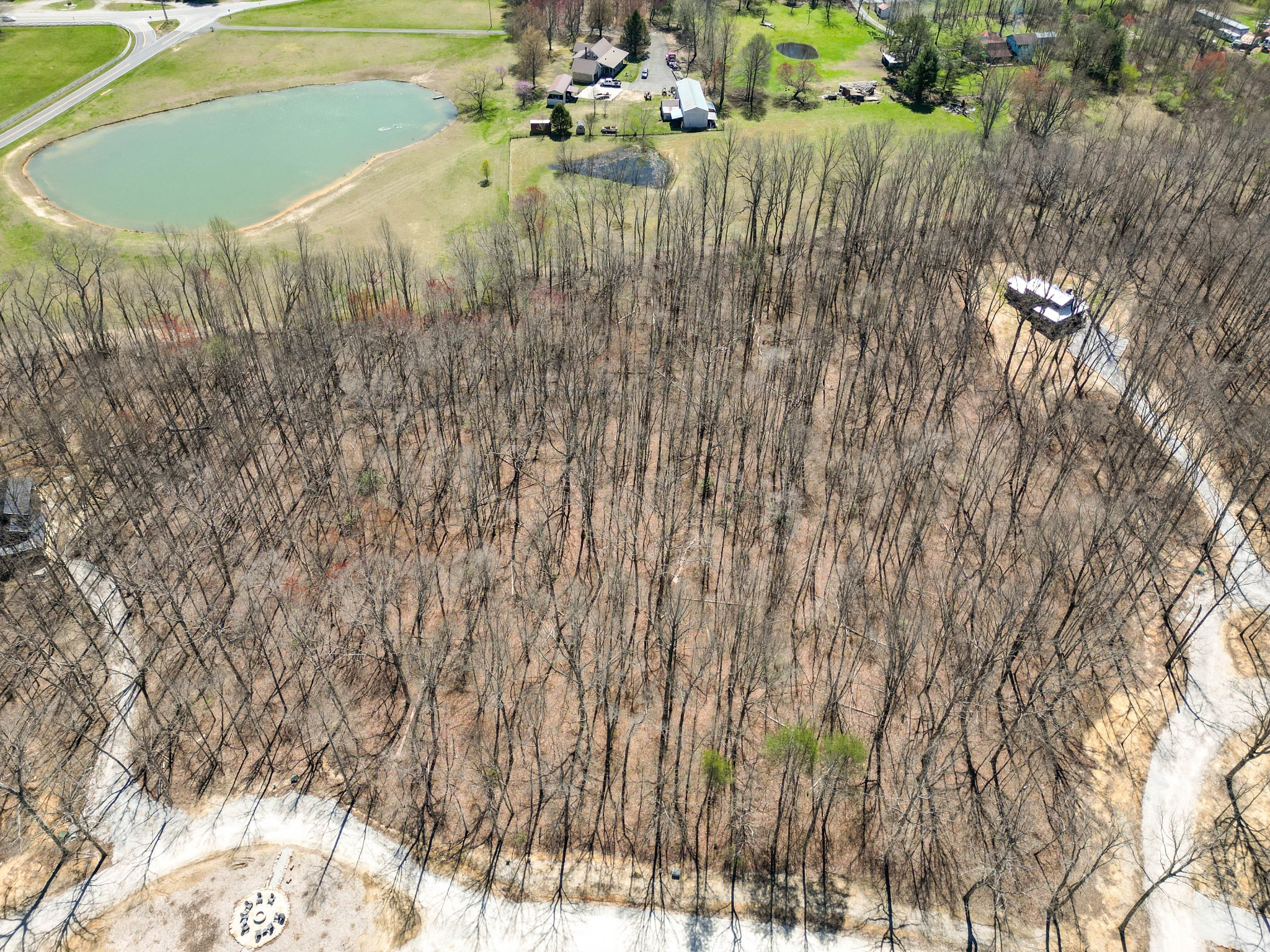 147 Sunset Bluff Monteagle, TN 37356 - Photo 3 of 11