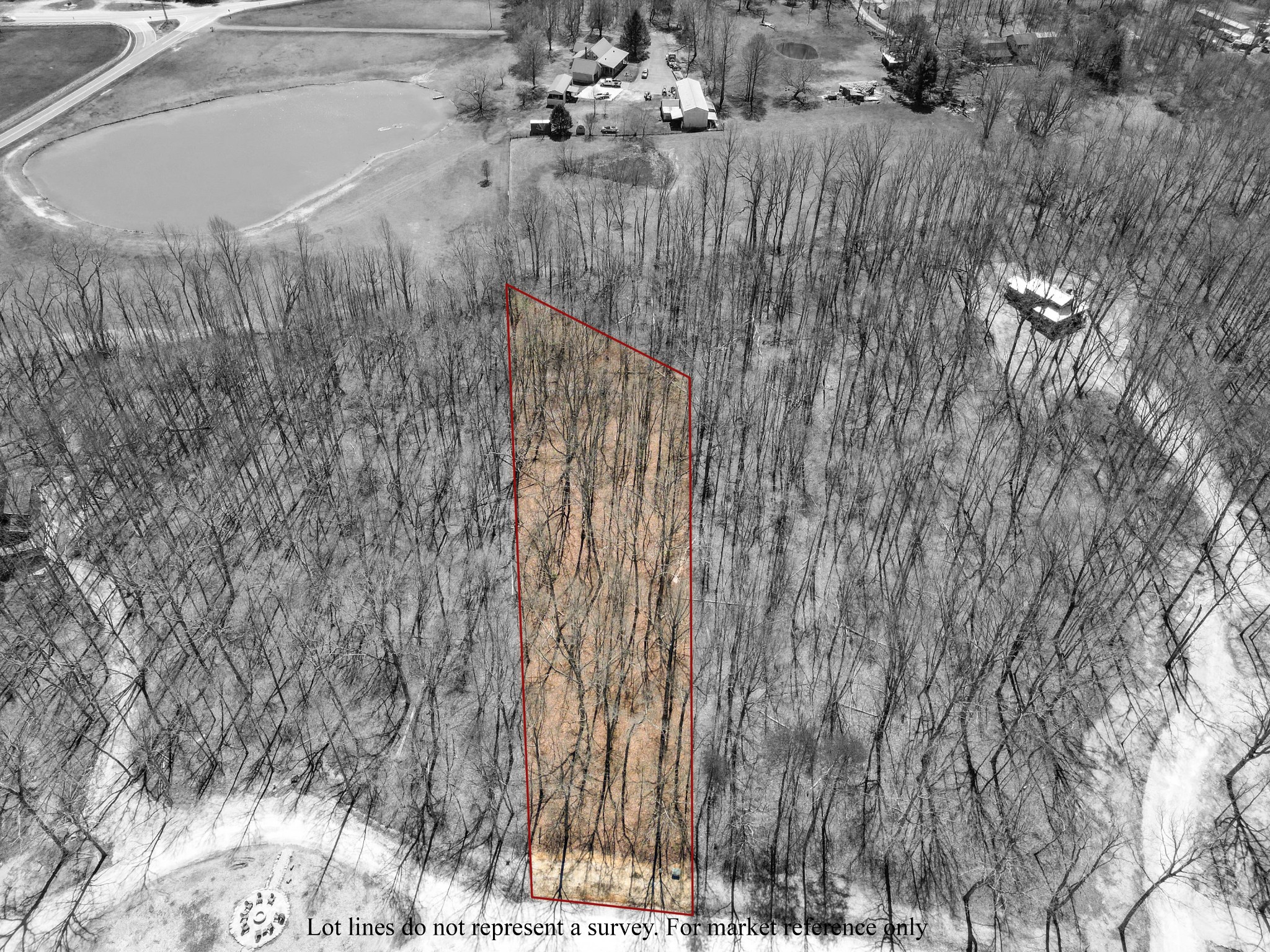 147 Sunset Bluff Monteagle, TN 37356 - Photo 4 of 11 a view of a dry yard with trees