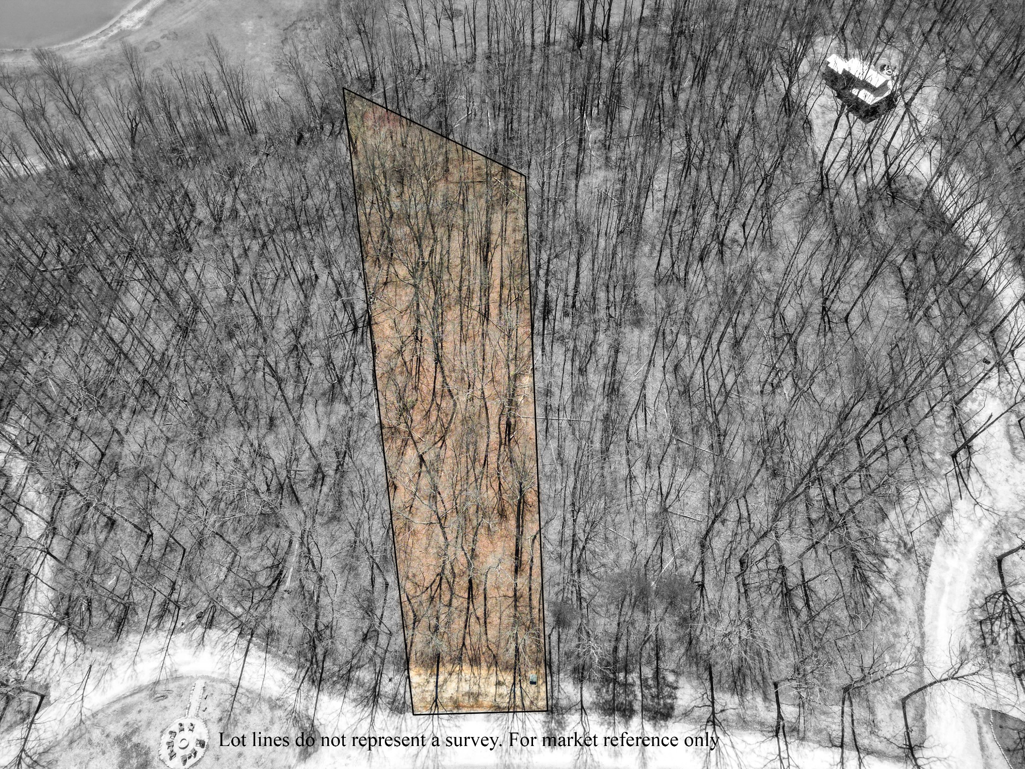 147 Sunset Bluff Monteagle, TN 37356 - Photo 6 of 11 a view of a yard with trees