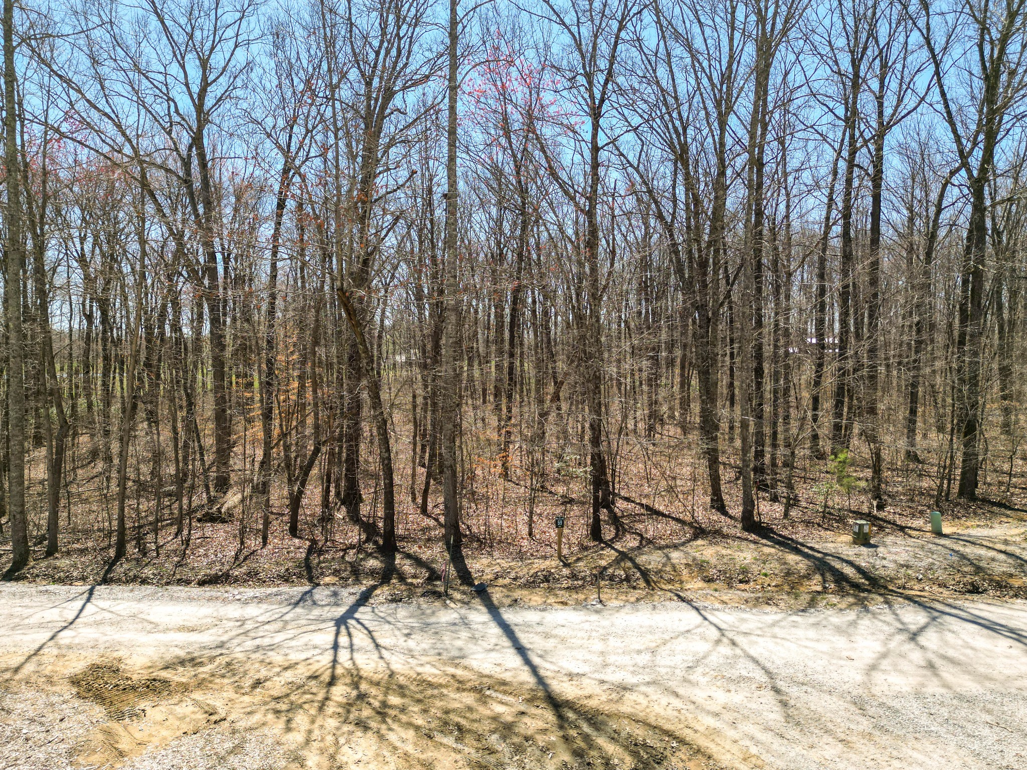147 Sunset Bluff Monteagle, TN 37356 - Photo 7 of 11 a view of wooden fence and trees