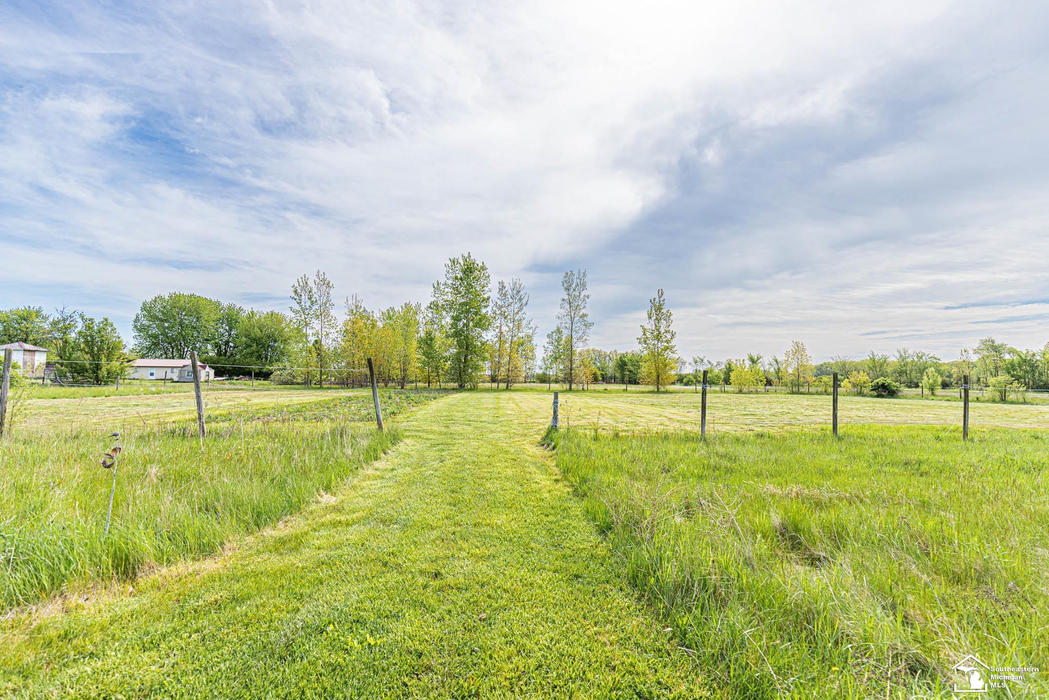 7075 Todd Road Temperance, MI 48182 - Photo 44 of 56