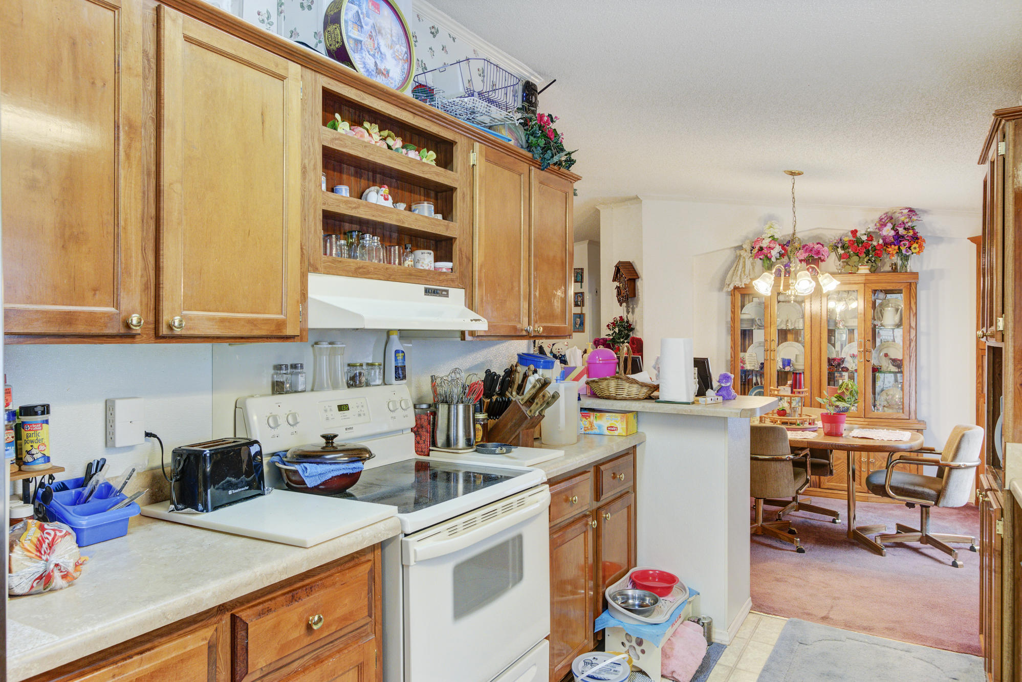 1615 State Rd S-8-449 Summerville, SC 29486 - Photo 10 of 26 Topher 1615 Alexander Circle (9)