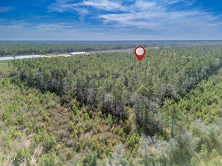 137.18-ac Ivanhoe Road Harrells, NC 28444 - Photo 18 of 21 Ivanhoe Rd 35