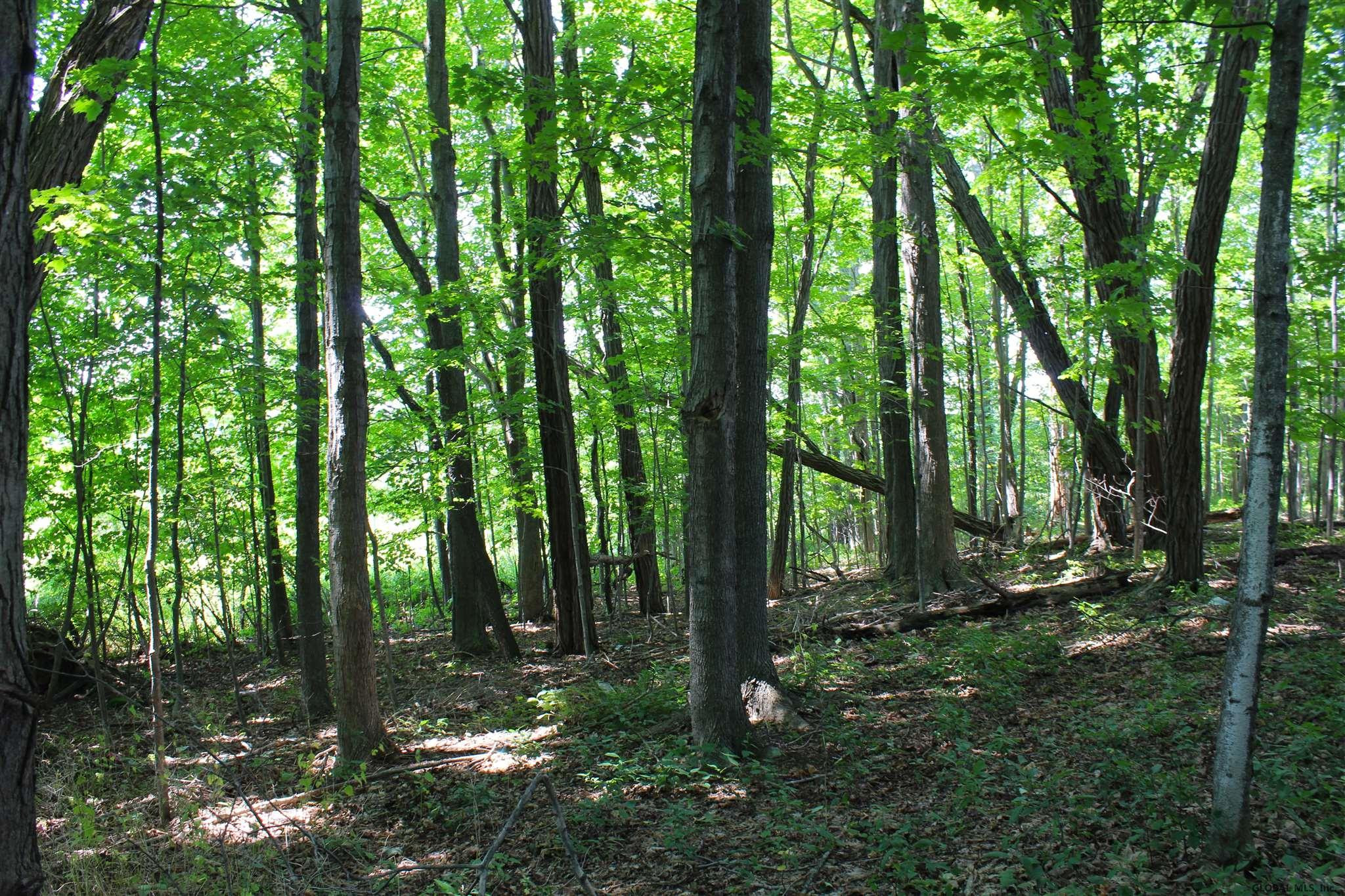 131 Wilton Road Greenfield, NY 12833 - Photo 11 of 12 Photo 11