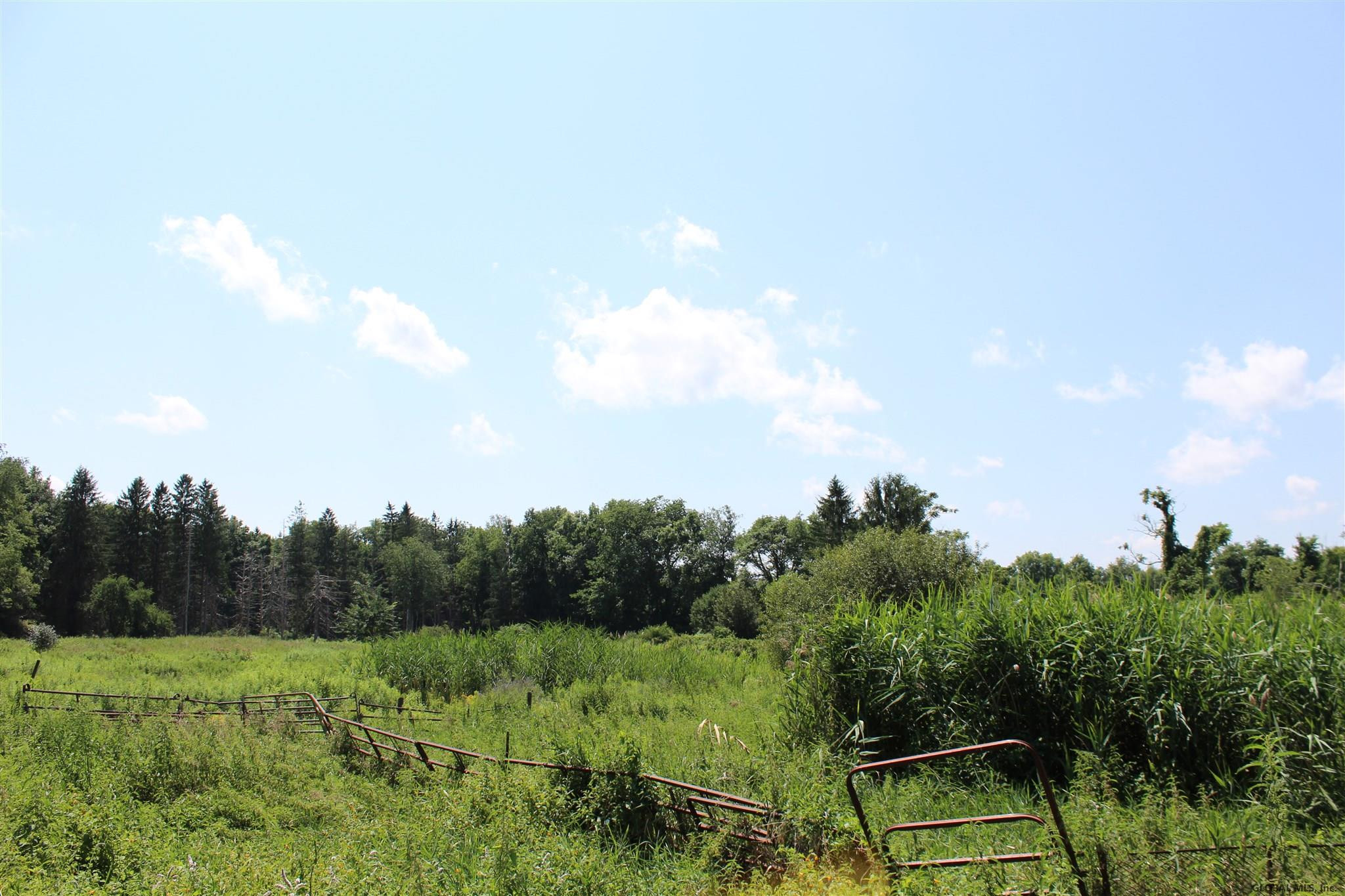 131 Wilton Road Greenfield, NY 12833 - Photo 7 of 12 Photo 7