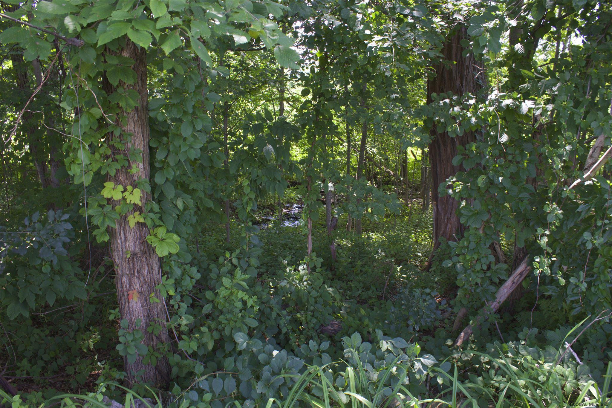131 Wilton Road Greenfield, NY 12833 - Photo 10 of 12 Photo 10