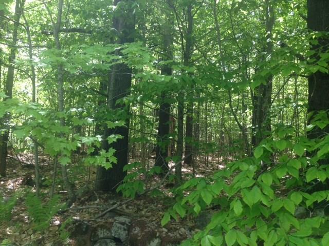 0 Chase Road Readfield, ME 04355 - Photo 1 of 4 Photo