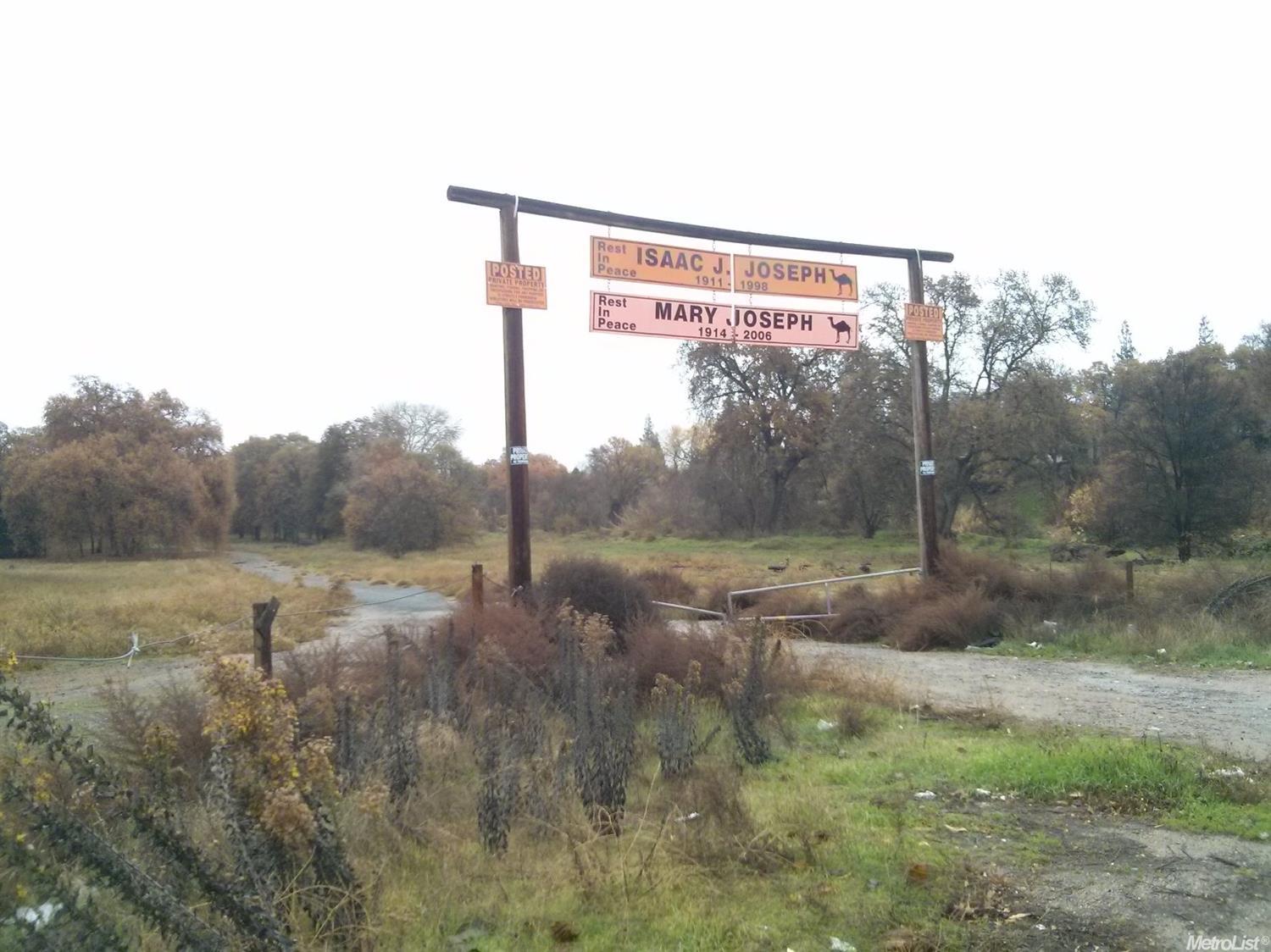 648 Riverside Avenue Roseville, CA 95678 - Photo 6 of 6 a view of a big yard with large trees