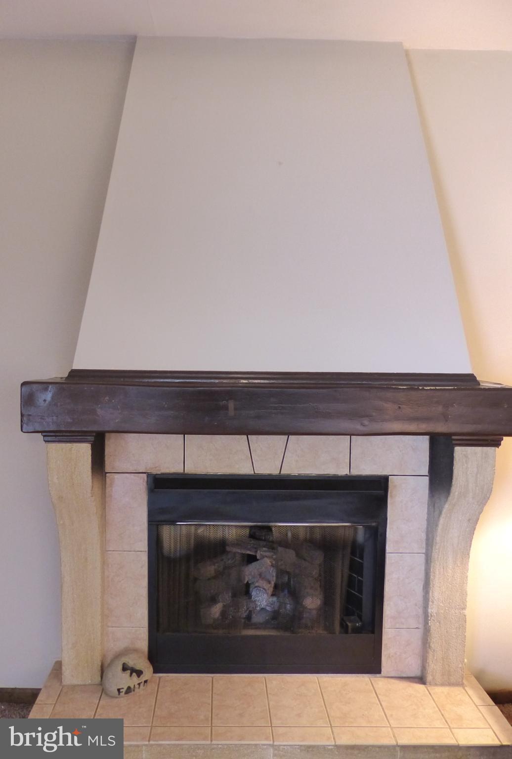 516 Parliament Road Marlton, NJ 08053 - Photo 13 of 52 Gas Fireplace