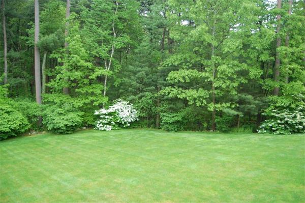 16 Battle Flagg Road Bedford, MA 01730 - Photo 23 of 24