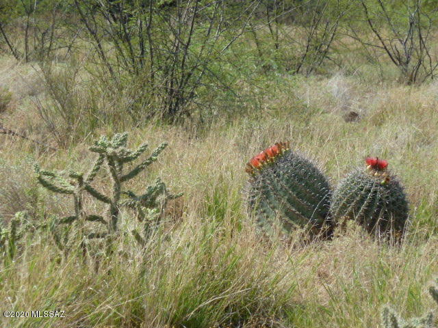 Tbd North San Pedro Ranch Road, Unit 20 Benson, AZ 85602 - Photo 1 of 6 Gallery Image 1