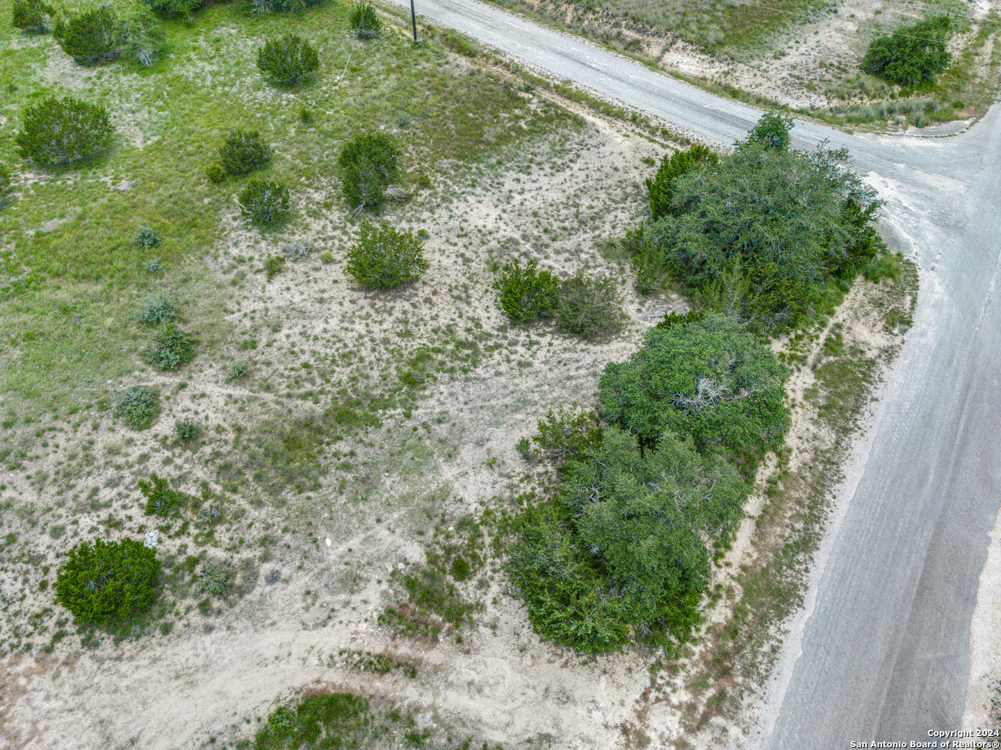 793 Daniel Jackson Blanco, TX 78606 - Photo 3 of 12