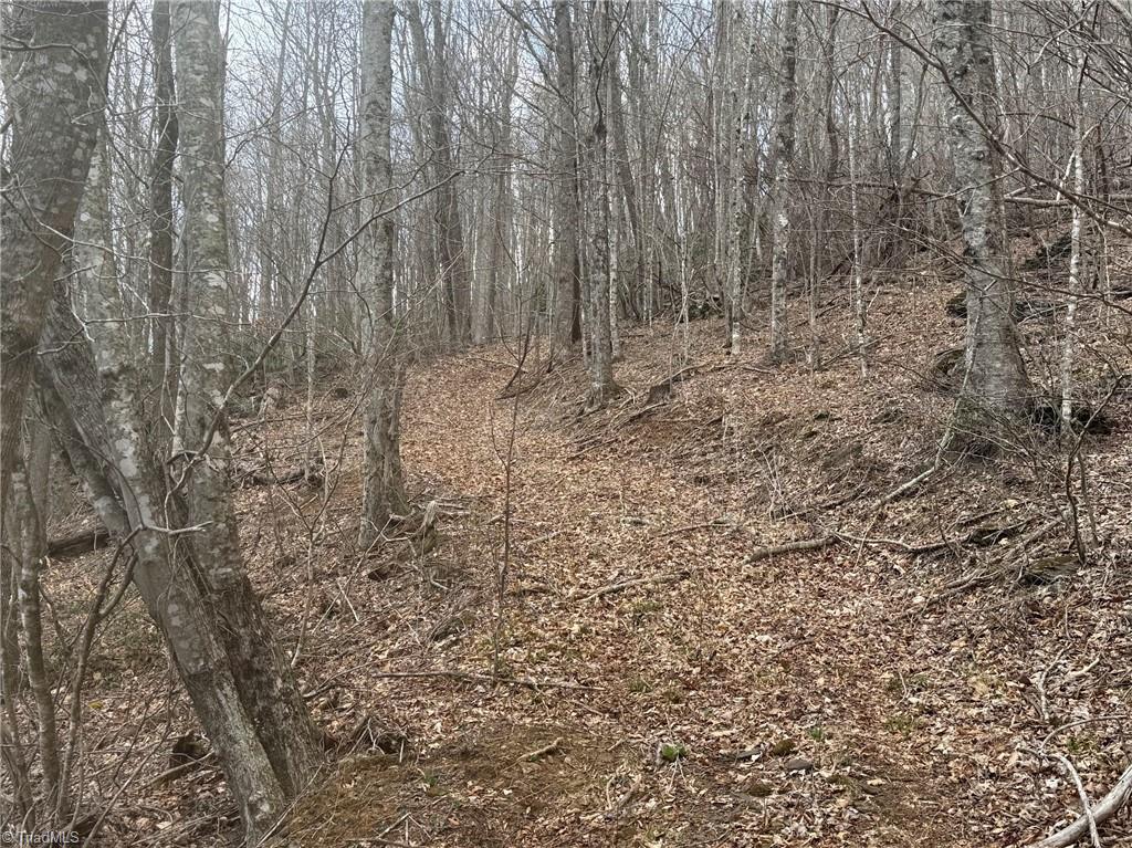 1 Three Top Road Todd, NC 28684 - Photo 7 of 27 Gallery Image 7