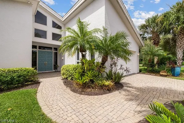 a view of a backyard with plants