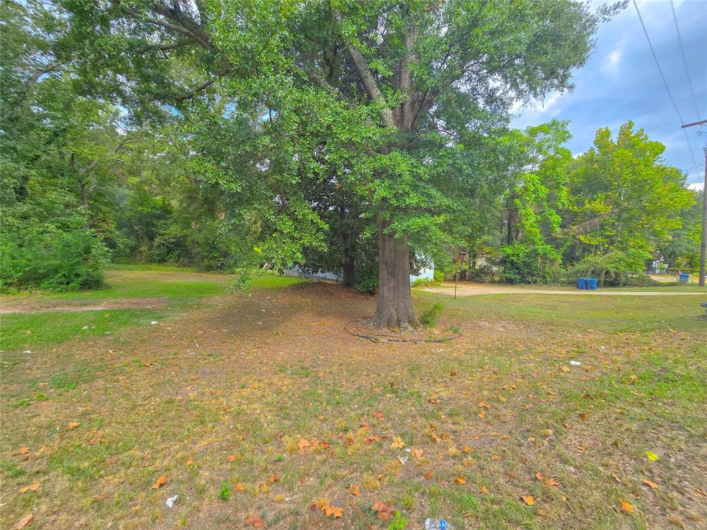 1105 Sibley Road Minden, LA 71055 - Photo 2 of 3 Gallery Image 2