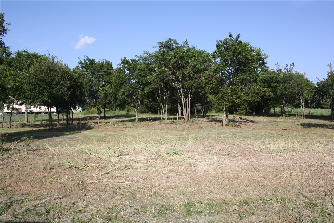 11805 Edward Street Elgin, TX 78621 - Photo 1 of 1 a backyard of a house with lots of green space