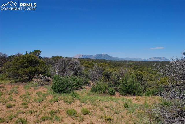 Williams Road Walsenburg, CO 81089 - Photo 16 of 19 Gallery Image 16