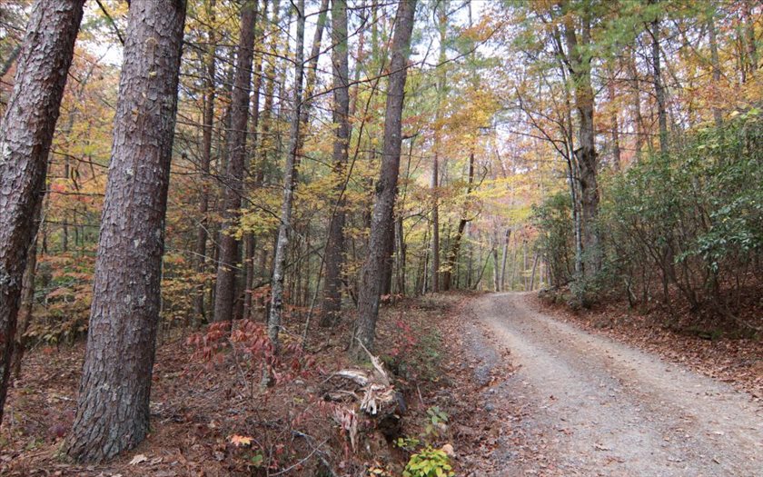 Valley Lane Cherry Log, GA 30522 - Photo 1 of 1 Main View