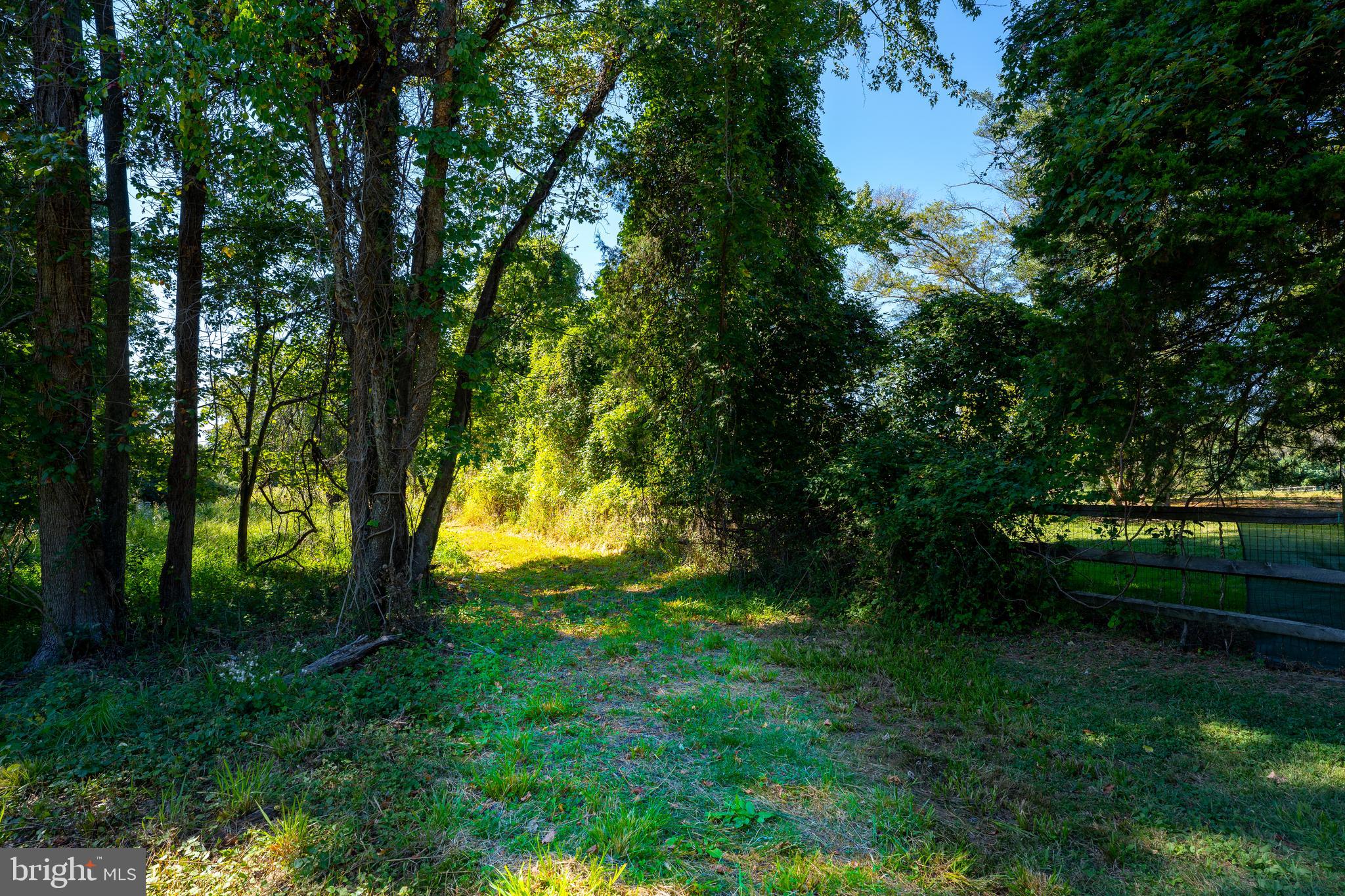 11403 Riverview Road Fort Washington, MD 20744 - Photo 7 of 8 The path to privacy originates here.