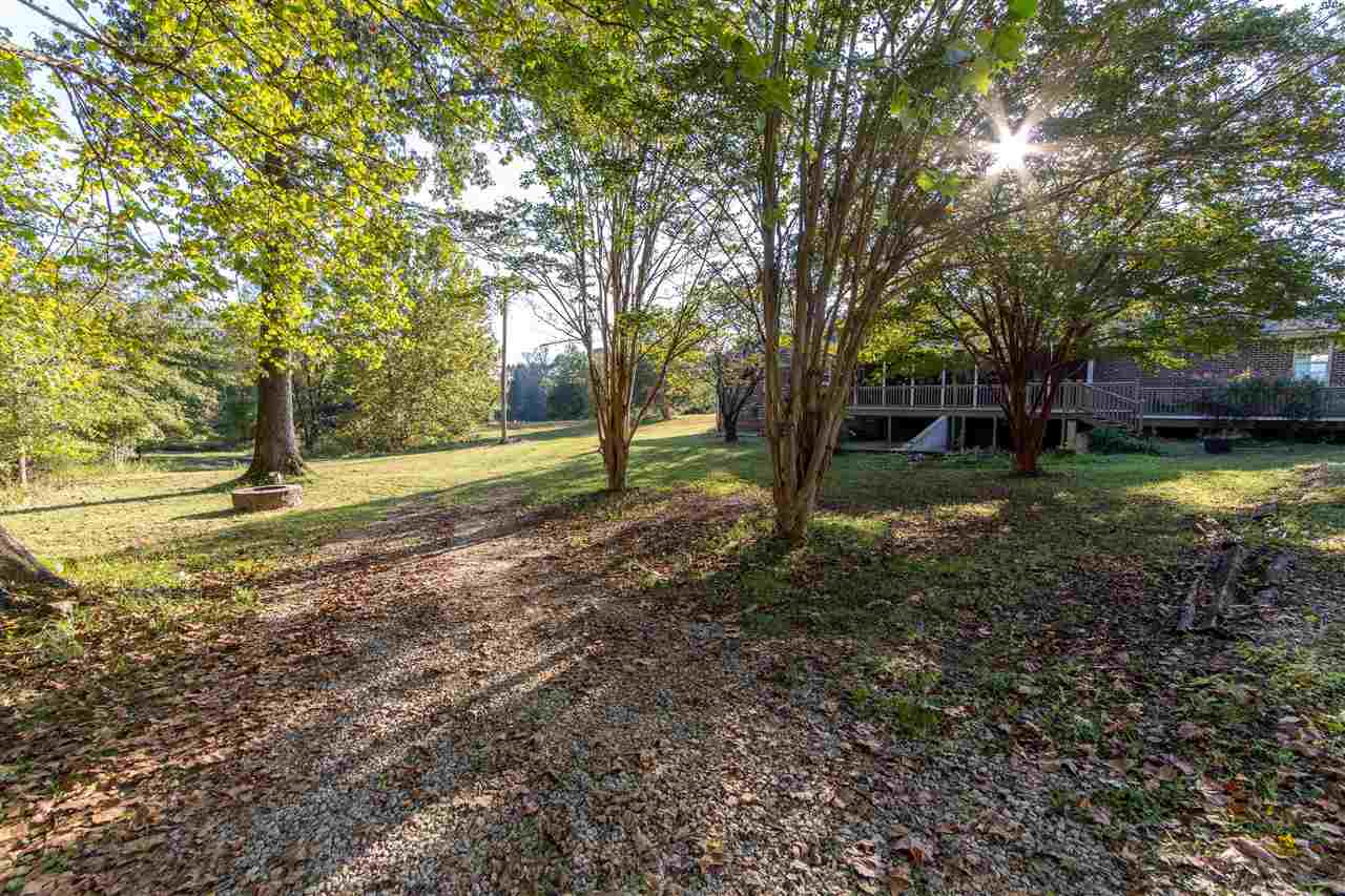 4560 Clifton Road Savannah, TN 38372 - Photo 3 of 25 a view of a yard with tree s