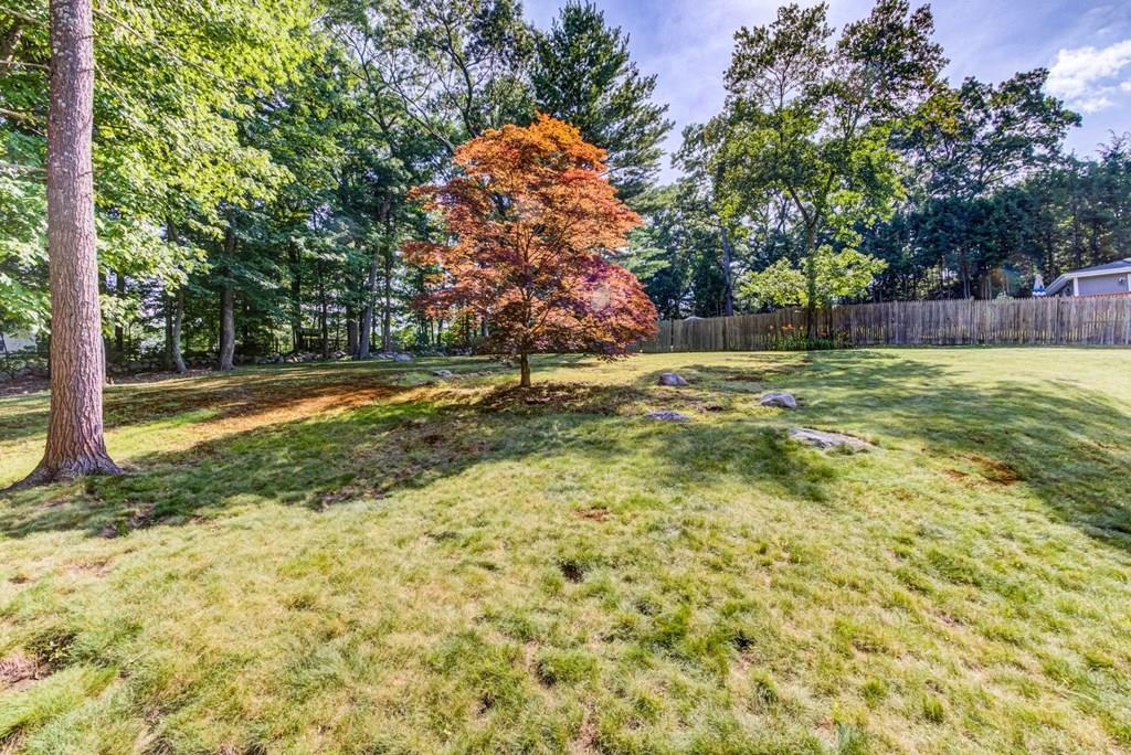 46 Hilldale Road Ashland, MA 01721 - Photo 34 of 39 Gallery Image 34