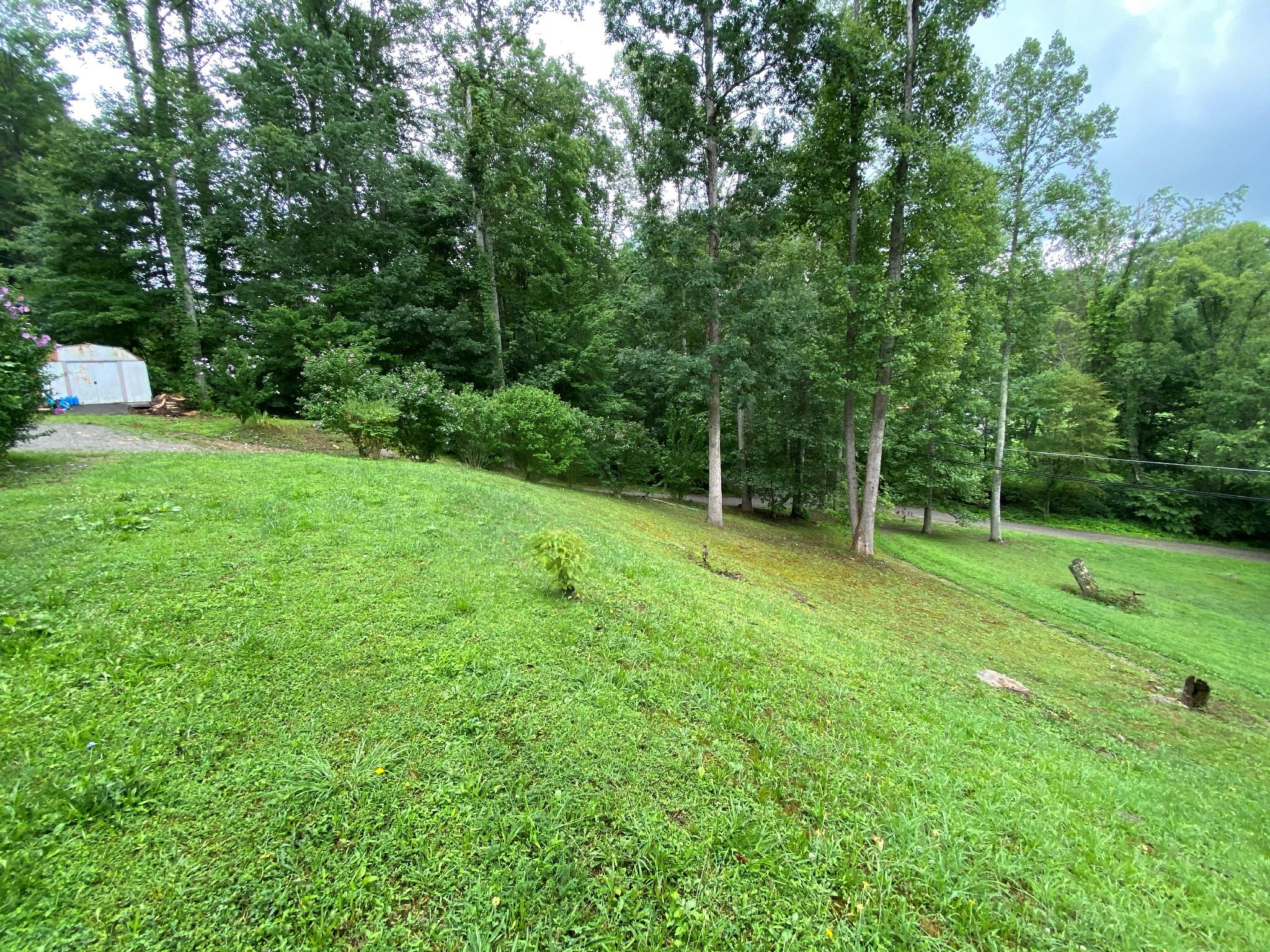 10407 Radford Road Wise, VA 24293 - Photo 19 of 23 yard 2