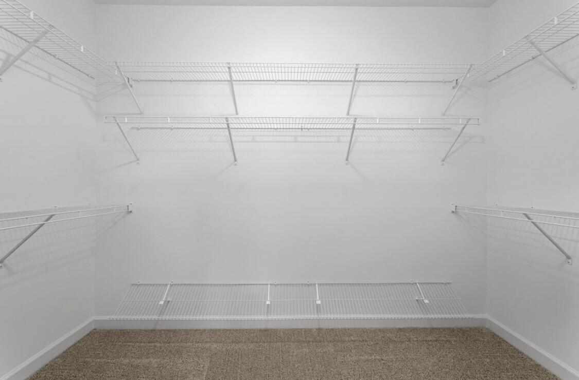 4167 Adelaide Loop Aiken, SC 29803 - Photo 20 of 30 Walk In Closet