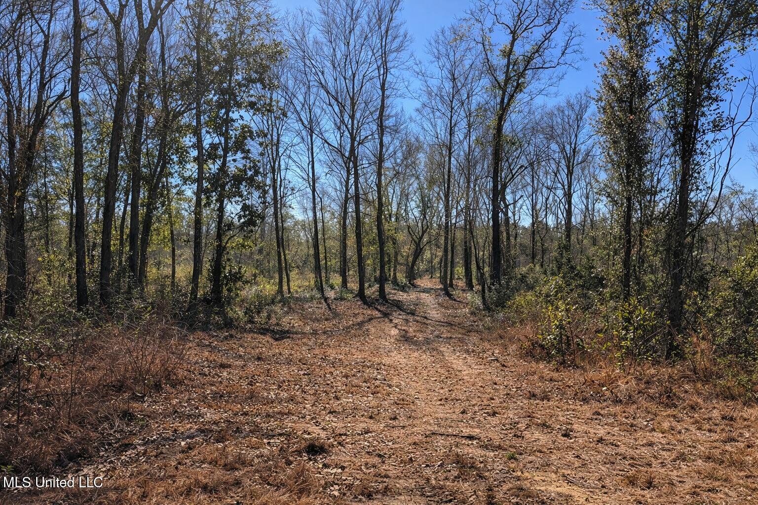 5 Standard Cemetery Road Kiln, MS 39556 - Photo 7 of 9 F0E0F454-47EB-46E4-8449-FA2EC3BFB277