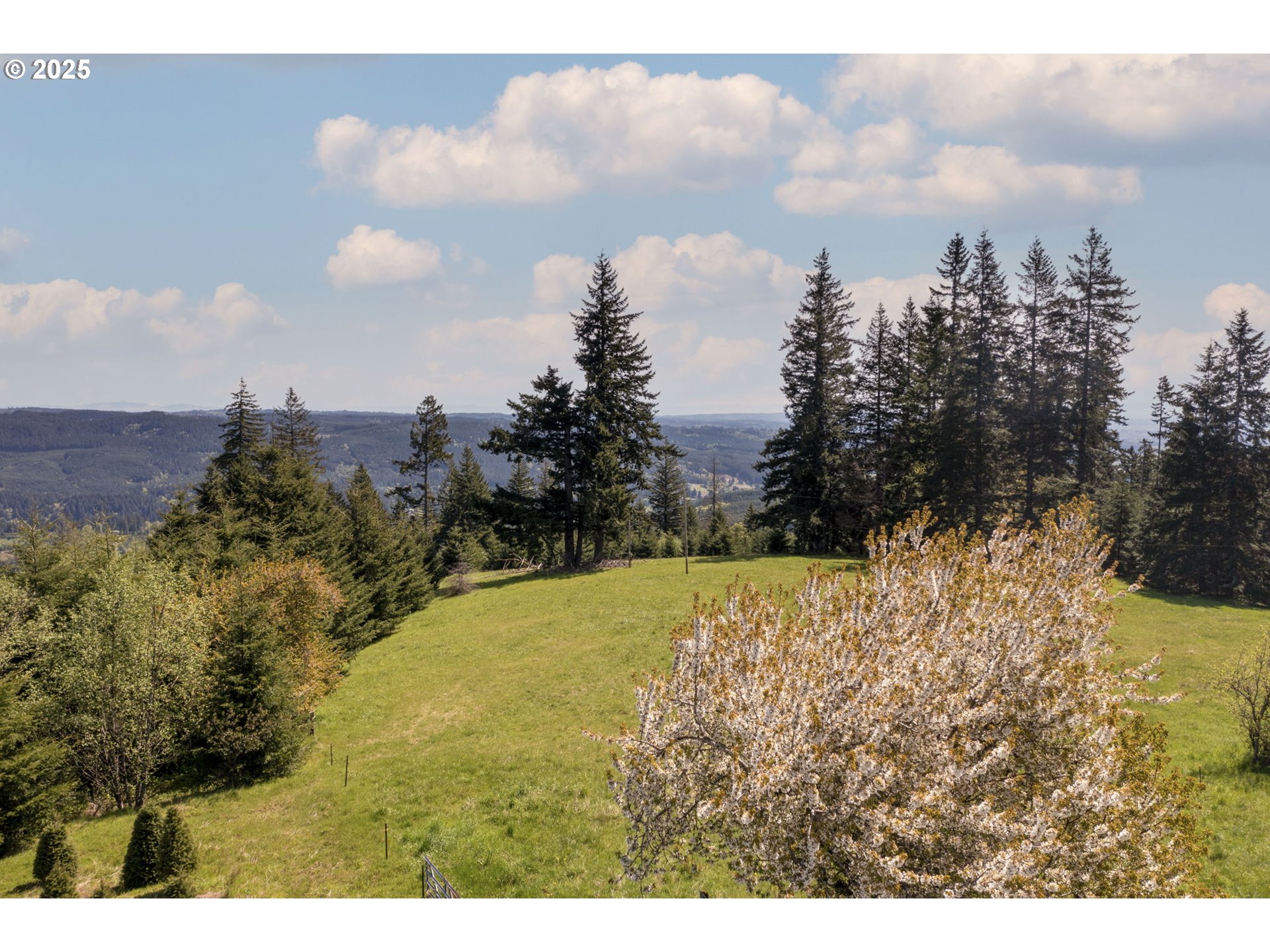 Northwest Sky Ranch Road Banks, OR 97106 - Photo 6 of 11 Gallery Image 6