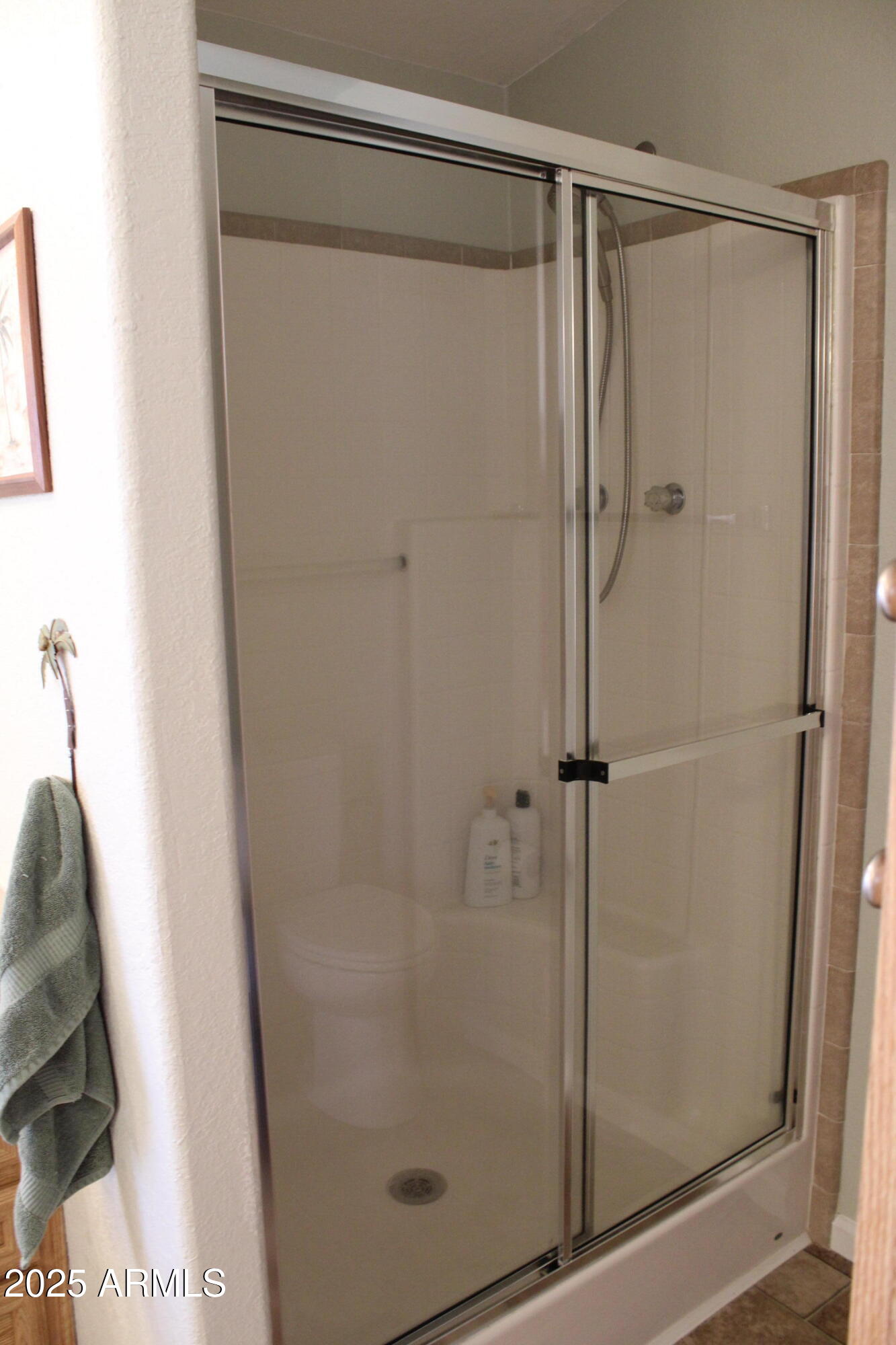 16101 North El Mirage Road, Unit 378 El Mirage, AZ 85335 - Photo 16 of 31 IMG_3931