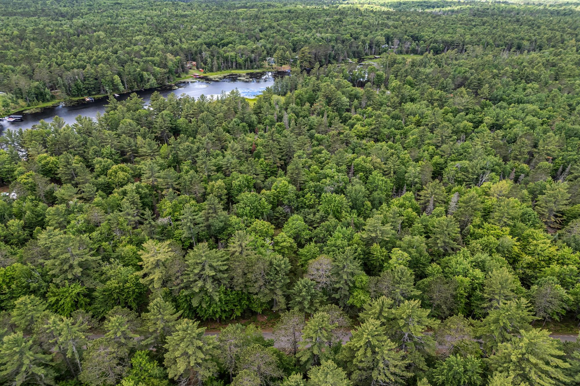 Off Watersmeet Lake Road, Unit 4 Eagle River, WI 54521 - Photo 20 of 28