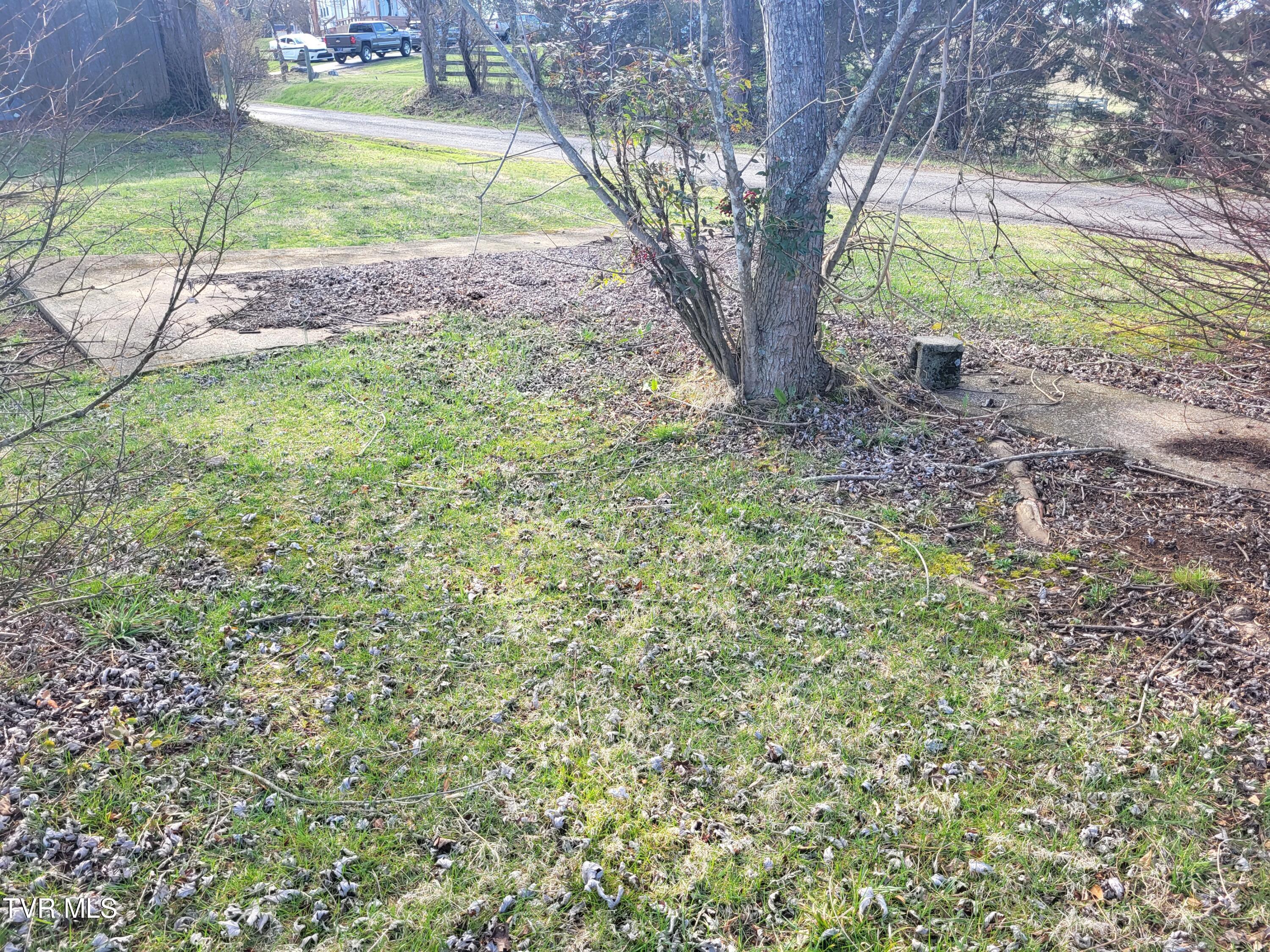 Lot 2 Fannin Road, Unit 2 Greeneville, TN 37743 - Photo 16 of 17 1000013315