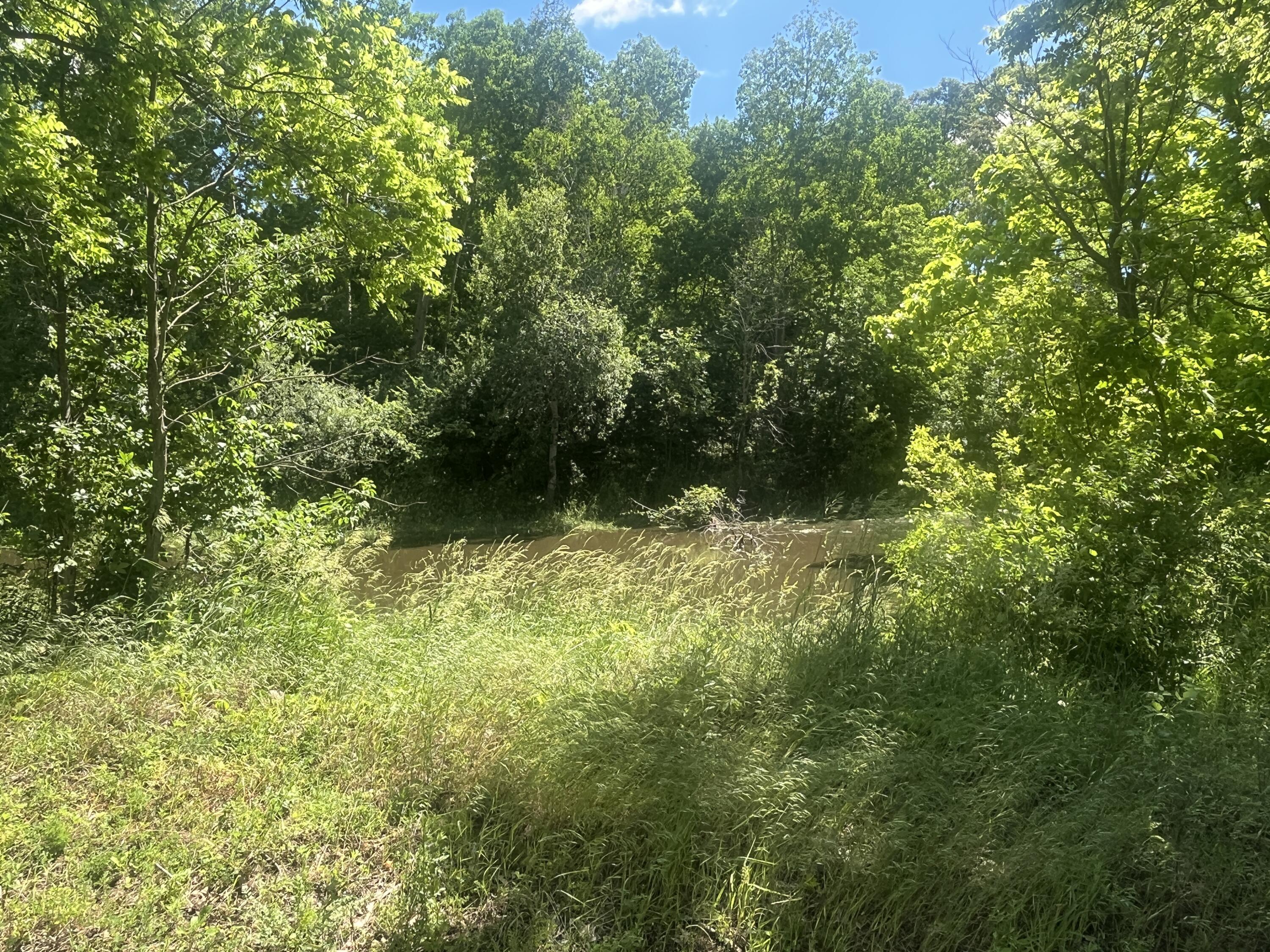 0 Fahrner Road Chelsea, MI 48118 - Photo 23 of 31 Fahrner Rd - 17