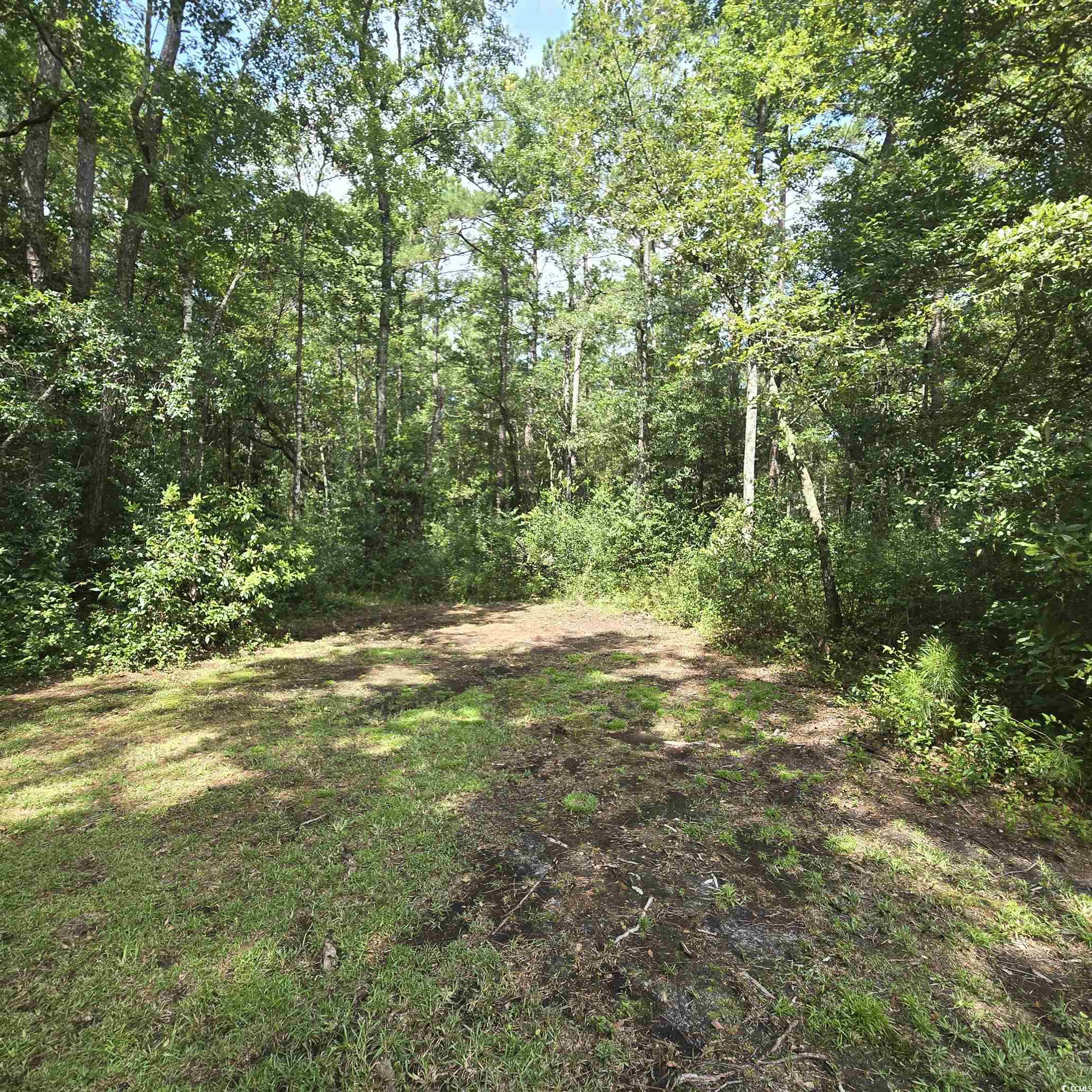 428 Bear Grass Road East Longs, SC 29568 - Photo 10 of 18 View of wooded area