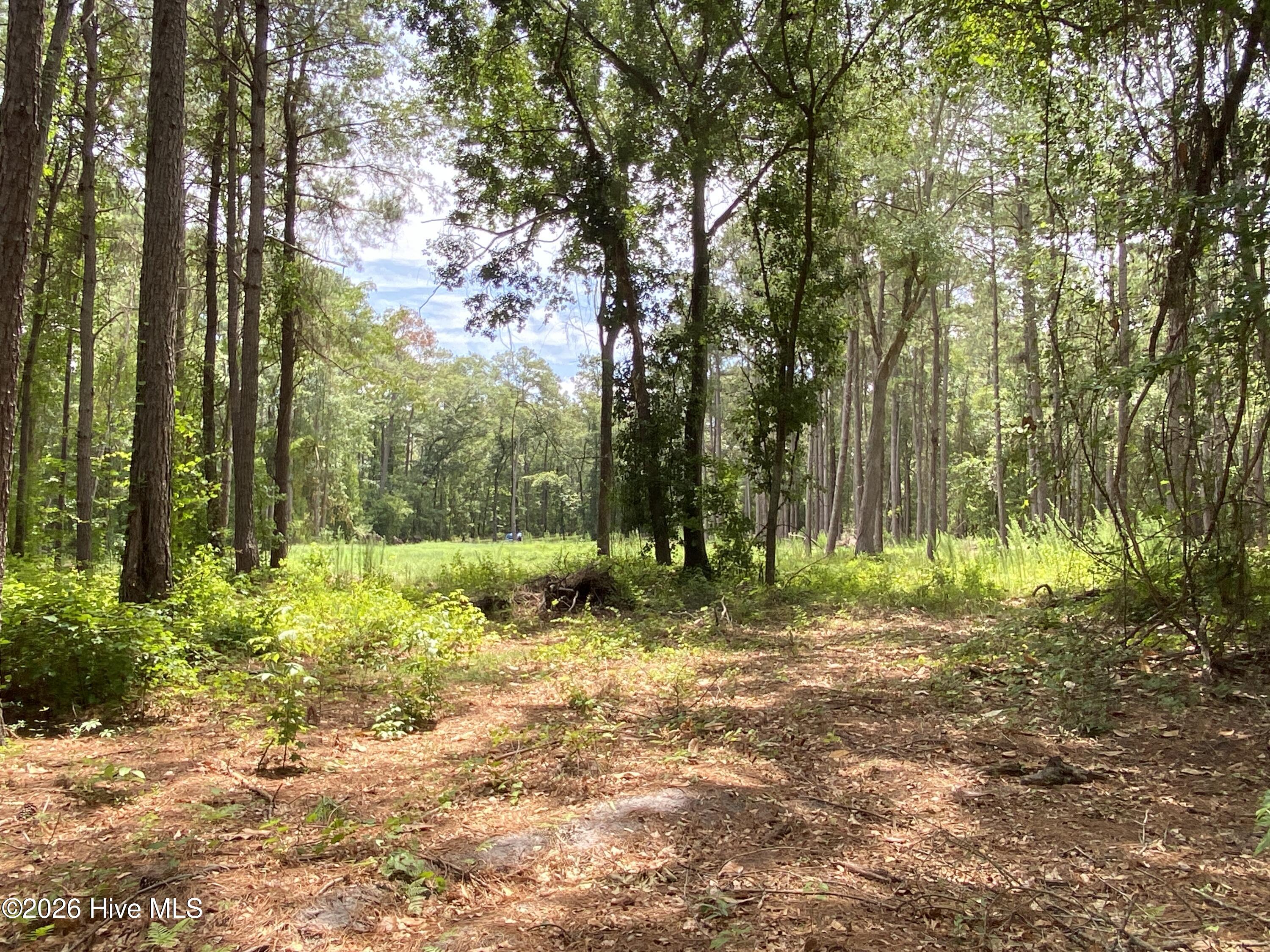 Tbd Hayne Stretch Road Roseboro, NC 28382 - Photo 20 of 31