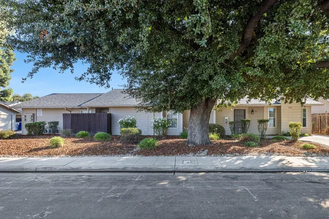 a front view of a house with a yard and large tree