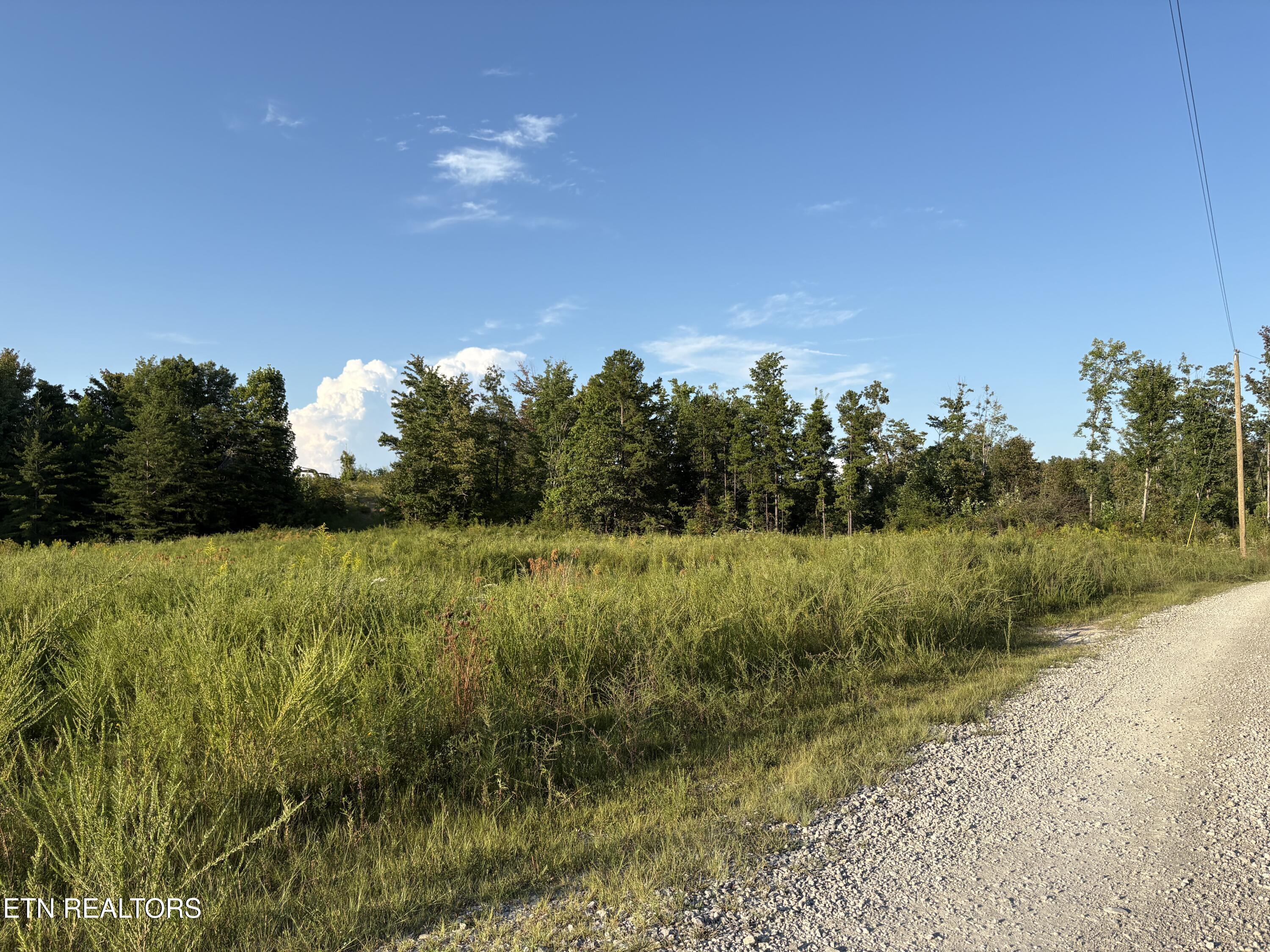Flat Rock Road Jamestown, TN 38556 - Photo 5 of 22 IMG_0815
